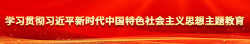 男生的根入女学习贯彻习近平新时代中国特色社会主义思想主题教育